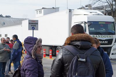 2016 03 17 FolgaServicarneFrigolouro11.JPG